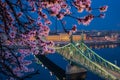 Budapest, Hungary - Illuminated Liberty Bridge over River Danube at dusk with cherry blossom tree at foreground Royalty Free Stock Photo