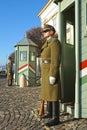 BUDAPEST, HUNGARY - JANUARY 06: Sentry of the presidential palace January 6, 2014 in Budapest, Hungary. Military tradition was re