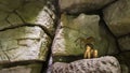 BUDAPEST, HUNGARY - JUN 01, 2018: A model of a young caveman boy sitting between the cave art painted rocks