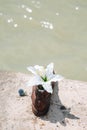 Shoes on the Danube bank memorial and Danube river in Budapest, Hungary Royalty Free Stock Photo