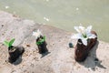 Shoes on the Danube bank memorial and Danube river in Budapest, Hungary Royalty Free Stock Photo