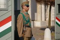 Budapest, Hungary, March 22 2018: Armed presidential guard on the Buda Hill near the residence of the president of