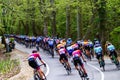 Bike Race `Tour de Hongrie` - 2022