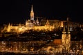 Budapest, Hungary at night view. Buda castle