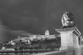 Budapest, Hungary, nightime view of Buda Castle aka Royal Palace Royalty Free Stock Photo