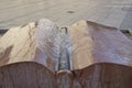 Book Fountain