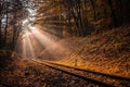 Budapest, Hungary - Rising sun falls on the railroad track leading through the autumn forest Royalty Free Stock Photo