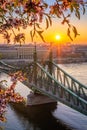 Budapest, Hungary - Spring in Budapest with beautiful Liberty Bridge over River Danube with rising sun and cherry blossom Royalty Free Stock Photo