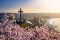 Budapest, Hungary - Spring has arrived in Budapest with beautiful Cherry Blossom and Liberty Bridge Royalty Free Stock Photo