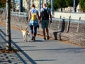 Young couple walking a dog. bright autumn day. urban scene