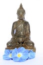 Budda buddha with blue flowers Royalty Free Stock Photo