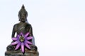 Budda buddha with flower