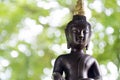 Budda statue