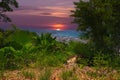 Buddah temple with beautiful views from top of mountain of Patong Phuket Thailand. Buddha r Royalty Free Stock Photo