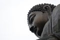 Buddha Royalty Free Stock Photo