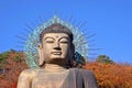 Buddha Royalty Free Stock Photo