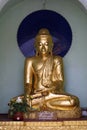 Buddha Royalty Free Stock Photo
