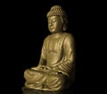 Buddha Royalty Free Stock Photo