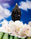 Buddha background, vivid colors, natural tone Royalty Free Stock Photo