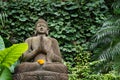 Buddha in the Bamboo forrest green garden Royalty Free Stock Photo
