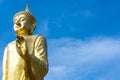 Buddha bless pagoda.NEF Royalty Free Stock Photo