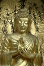 Buddha Blesses