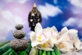 Buddha and blue sky background, vivid colors, natural tone Royalty Free Stock Photo