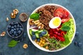 Buddha bowl dinner with boiled egg, chickpea, fresh tomato, sweet pepper, cucumber, savoy cabbage, red onion, green sprouts Royalty Free Stock Photo