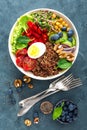 Buddha bowl dinner with boiled egg, chickpea, fresh tomato, sweet pepper, cucumber, savoy cabbage, red onion, green sprouts Royalty Free Stock Photo