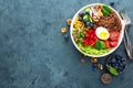 Buddha bowl dinner with boiled egg, chickpea, fresh tomato, sweet pepper, cucumber, savoy cabbage, red onion, green sprouts Royalty Free Stock Photo