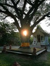 Buddha Chapel