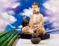 Buddha in Conceptual zen, vivid colors, natural tone Royalty Free Stock Photo