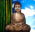 Buddha in Conceptual zen, vivid colors, natural tone Royalty Free Stock Photo