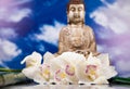 Buddha in Conceptual zen, vivid colors, natural tone Royalty Free Stock Photo