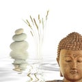 Buddha Contemplation Royalty Free Stock Photo