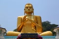 Buddha on Dambula golden temple in Sri lanka