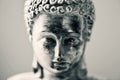 The buddha in duotone Royalty Free Stock Photo