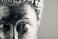 The buddha in duotone Royalty Free Stock Photo