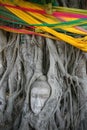 Buddha face in a banyan tree Royalty Free Stock Photo