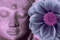 Buddha face and flower. Spiritual meditation and Zen buddhism nature image Royalty Free Stock Photo