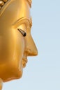 Buddha face in profile Royalty Free Stock Photo