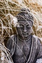 Buddha figure with a striking face in the garden in winter Royalty Free Stock Photo