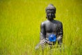 Buddha figurine with earth crystal ball in the nature