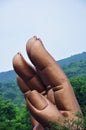 Buddha fingers