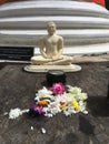 Buddha Flower Offering Table Royalty Free Stock Photo