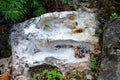 Buddha footprint after rain in Thailand.