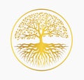 Golden Bodhi tree vector file and PNG image Download Royalty Free Stock Photo