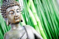 Buddha Royalty Free Stock Photo