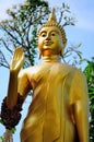 Buddha in golden mont thailand