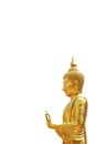 Buddha golden standing, Statue of the Buddha Stand Beautiful gold isolated on white background and copy space for banner